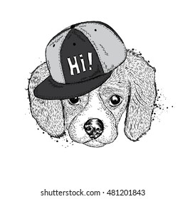 Cute puppy with a cap. Vector illustration for a card or poster. Print on clothes. Dog. Pet. Fashion & Style.