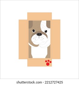 cute puppy in carboard vector logo