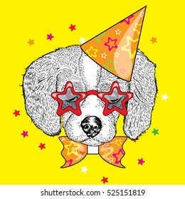 Cute puppy in a celebratory cap and funny glasses. Vector illustration. Postcard or poster, print on clothes. A party.