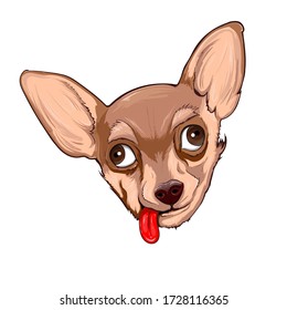 cute puppy. Chihuahua dog, head. Isolated illustration. eps 10 vector