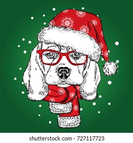 Cute puppy in a Christmas hat and scarf. Vector illustration. Beagle. New Year's and Christmas.