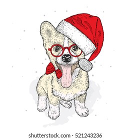  Cute puppy in a Christmas hat and sunglasses. Vector illustration. New Year's and Christmas. Welsh-Corgi-Pembroke.