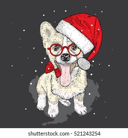  Cute puppy in a Christmas hat and sunglasses. Vector illustration. New Year's and Christmas. Welsh-Corgi-Pembroke.