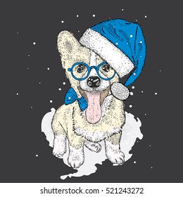  Cute puppy in a Christmas hat and sunglasses. Vector illustration. New Year's and Christmas. Welsh-Corgi-Pembroke.