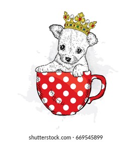 A cute puppy with a crown sits in cup. Vetch illustration for postcard or poster, print on clothes. Pedigree dog. Chihuahua.