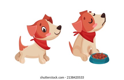 Juego de rutina de cachorro lindo. Pequeño animal de mascota adorable con tazón de la ilustración vectorial de dibujos animados alimentarios