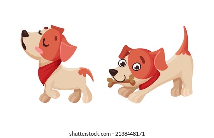 Cute puppy daily routine set. Adorable little pet animal chewing bone and walking cartoon vector illustration