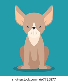 cute puppy dog