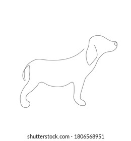 Cute puppy dog beagle on white background, vector illustration	