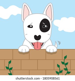 Cute puppy dog behind the wall. Good weather and sunny. 