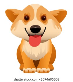 Cute puppy dog ​​Corgi breed sits in front, smiling, sticking out his tongue