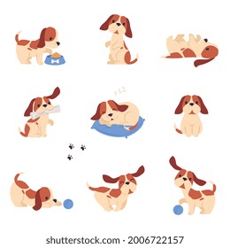 Cute Puppy Dog Doing Different Activities Set, Adorable Pet Animal with White and Brown Coat Playing, Sleeping and Eating Cartoon Vector Illustration