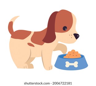 Cute Puppy Dog Eating from Bowl, Adorable Pet Animal with White and Brown Coat Cartoon Vector Illustration