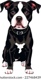 Cute puppy dog illustration vector