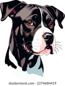 Cute puppy dog illustration vector