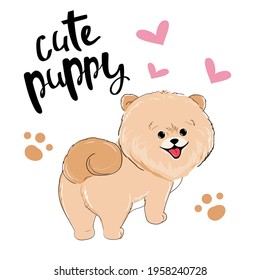 Cute puppy dog ​​spitz. Vector illustration for t-shirt design, room decoration, holiday decorations