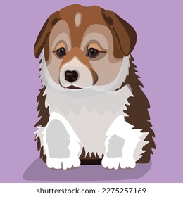 Cute puppy dog welsh corgi breed. Vector illustration