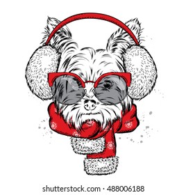 Cute puppy in earmuffs and a scarf. Vector illustration for a card or poster. Print on clothes. Beautiful dog. New Year's and Christmas. Winter. Warm clothes.