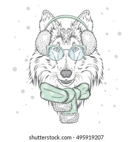 Cute puppy in earmuffs and a scarf. Vector illustration for a card or poster. Print on clothes. Beautiful dog. New Year's and Christmas. Winter. Warm clothes. Collie.