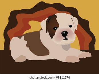 cute puppy - english bulldog vector