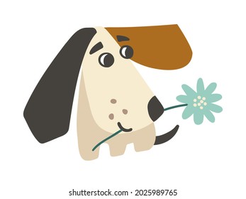 Cute puppy with flower. Lovely dog flat illustration on white. Vector