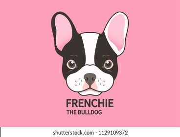 Cute Puppy French Bulldog Face On Pink Background. 