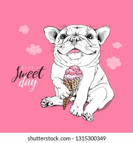 Cute puppy French bulldog with a pink ice cream cone. Have a sweet day - lettering quote. Humor card, t-shirt composition, hand drawn style print. Vector illustration.