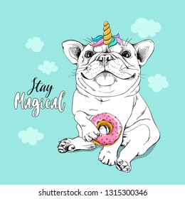 Cute puppy French bulldog in a unicorn wig with horn and with a pink donut. Stay magical - lettering quote. Humor card, t-shirt composition, hand drawn style print. Vector illustration.