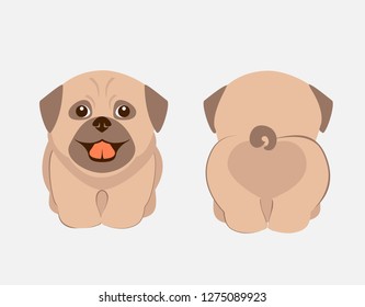 Cute puppy front and back vector illustration. Pug  breed dog funny cartoon. T-shirt and card design. 