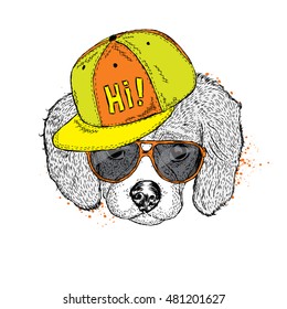 Cute puppy with glasses and a cap. Vector illustration for a card or poster. Print on clothes. Dog. Pet. Fashion & Style.