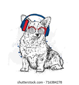 Cute puppy with glasses and headphones. Vector illustration for a postcard or a poster, print for clothes. Pedigree dog. Welsh Corgi. Music.
