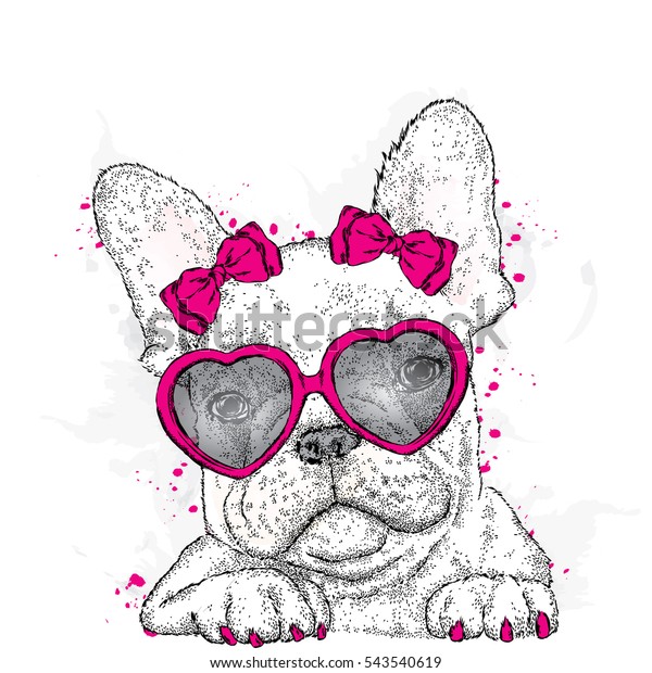 Cute Puppy Glasses Heart Vector Illustration Stock Vector (Royalty Free ...