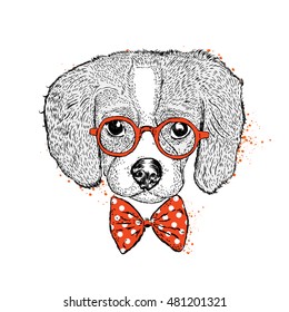 Cute puppy with glasses and tie. Vector illustration for a card or poster. Print on clothes. Dog. Pet. Fashion & Style.