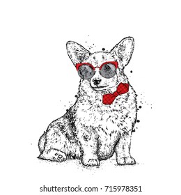 A cute puppy with glasses and a tie. Vector illustration for a postcard or a poster, print for clothes. Pedigree dog. Welsh Corgi.