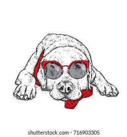 A cute puppy with a glasses. Vector illustration for a postcard or a poster, print for clothes. Pedigree dog. Labrador.