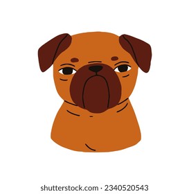 Cute puppy of Griffon breed. Petit brabancon, canine portrait, head avatar. Funny little Brussels dog muzzle, angry emotion. Small doggy. Flat graphic vector illustration isolated on white background