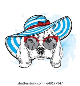 A cute puppy with a hat and glasses. Vector illustration for a postcard or a poster, print for clothes. Fashion & Style. A beautiful dog in summer clothes.