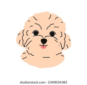 Cute puppy head of Maltese dog breed. Happy canine portrait, companion doggy, sweet little pup face. Adorable funny hairy muzzle avatar. Flat vector illustration isolated on white background