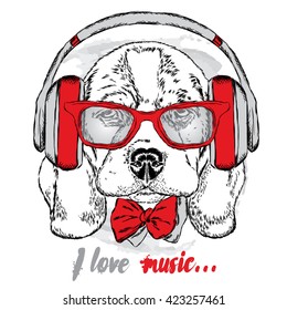 Cute puppy in headphones , glasses and tie . Vector illustration. portrait of a dog.
