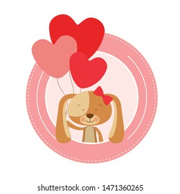 cute puppy with helium balloons