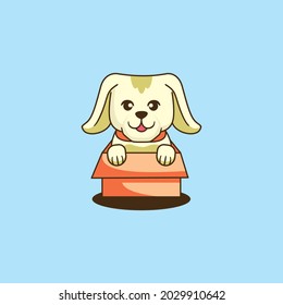 cute puppy inside a box