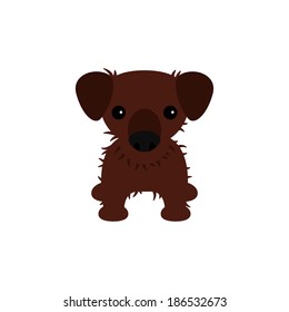 Cute puppy isolated on white