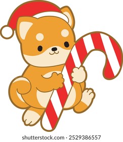 Cute puppy kawaii christmas dog lovely animal vector icon. Fluffy Shiba Inu christmas stickers. Santa doggy
Shiba Inu bring a stick of christmas candy