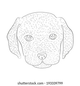 Cute puppy of a labrador. Vector dog illustration. 