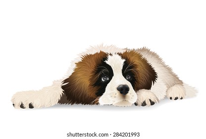 Cute puppy lying sad. The breed St. Bernard dog. Isolated vector illustration.