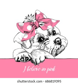 Cute puppy Maltese in a pink polka dot headband. Vector Illustration.
