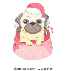 Cute puppy in a New Year hat. Vector illustration. Pedigree dog. Santa Claus. New Year's and Christmas.