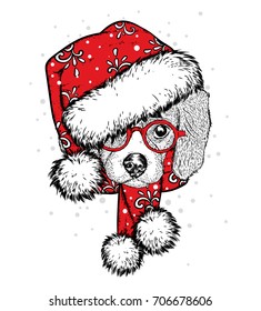 Cute puppy in a New Year hat and scarf. Vector illustration. Pedigree dog. Santa Claus. New Year's and Christmas.