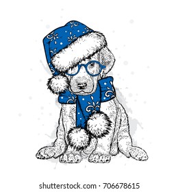 Cute puppy in a New Year hat and scarf. Vector illustration. Pedigree dog. Santa Claus. New Year's and Christmas.
