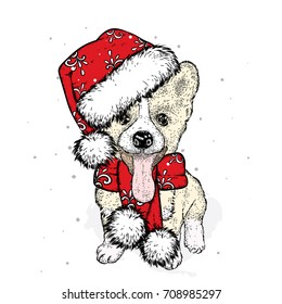 Cute puppy in a New Year hat and scarf. Vector illustration. Pedigree dog. Santa Claus. New Year's and Christmas.
